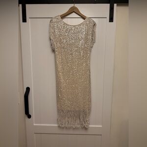 Elegant Sequin Fringe Dress